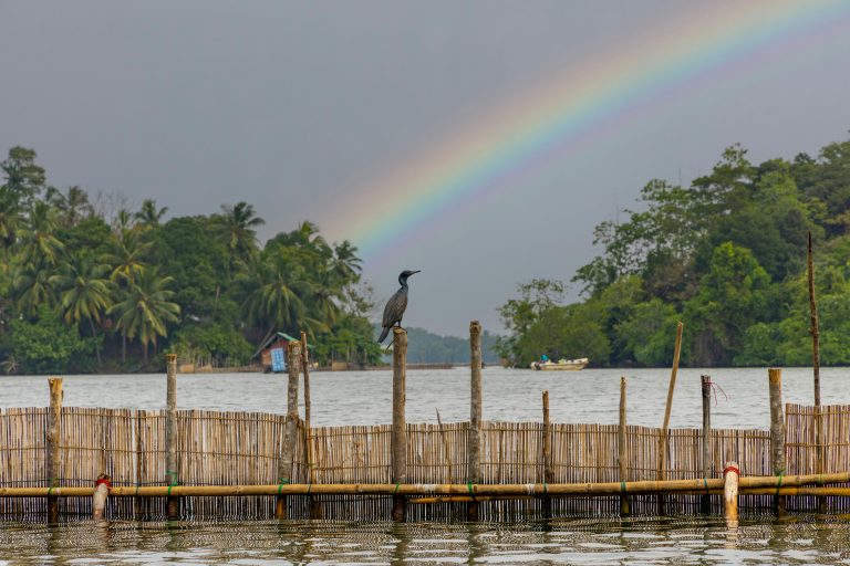 Tours In Bentota
