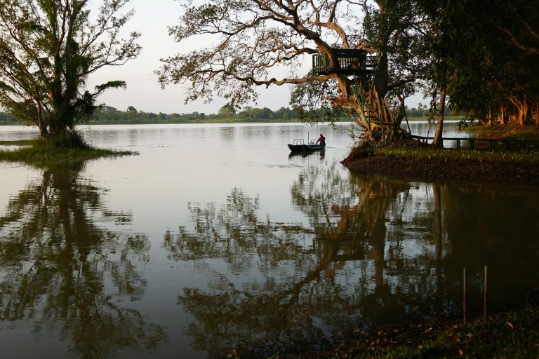 Tours In Habarana