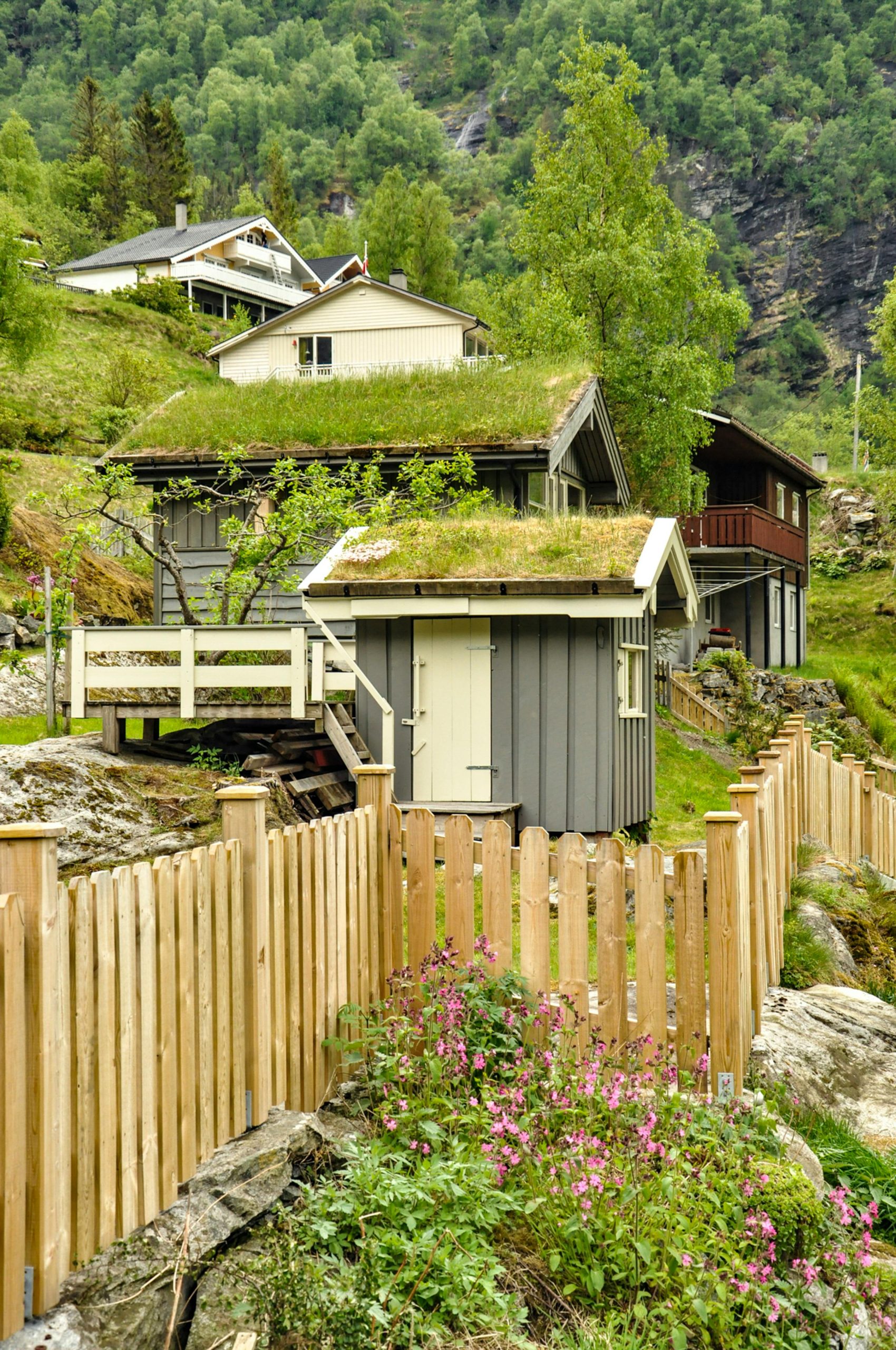 Home Stay Home Stay